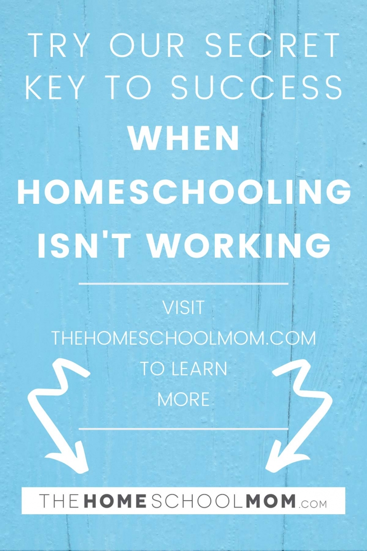 Flexibility of Homeschooling: Adapting When Homeschooling Isn't Working